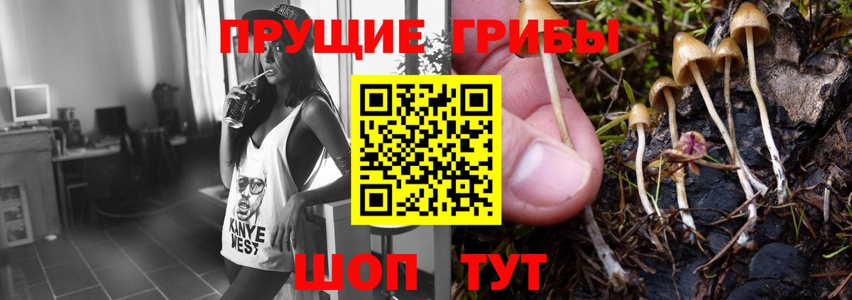Псилоцибиновые грибы Psilocybe  купить наркотики цена  Псилоцибиновые грибы Cubensis  Юрга  Вход с VPN 
